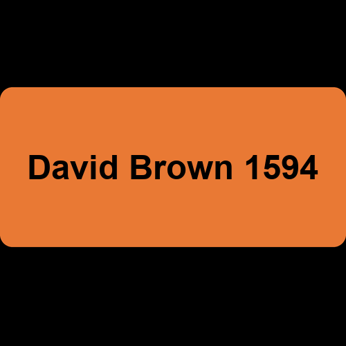 David Brown 1594